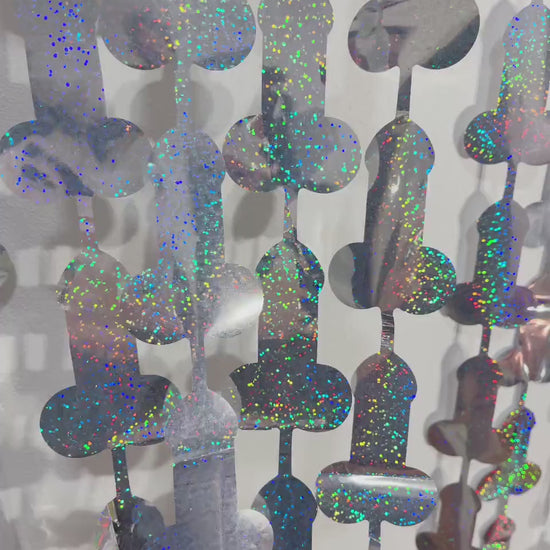 Iridescent Penis Holographic Foil Curtain | Hen Party Bridal Shower Backdrop, Birthday Backdrop, Photo Booth, Dick Favors, Naughty Bach