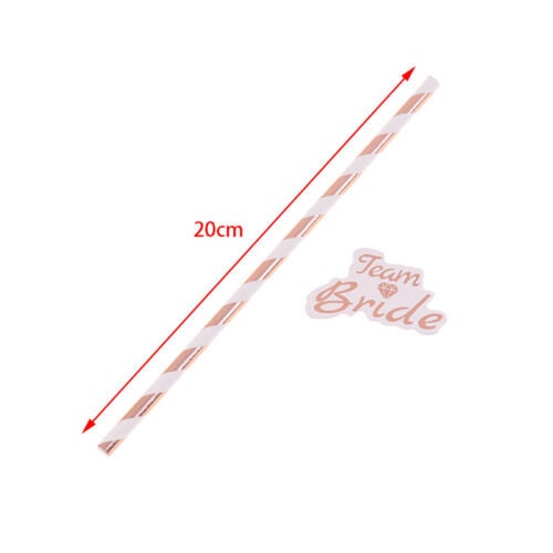 Rose Gold Team Bride Straws| Bachelorette Hen Party Decoration Supplies, Party Favor, Bridal Shower Wedding Drinking Game Bach