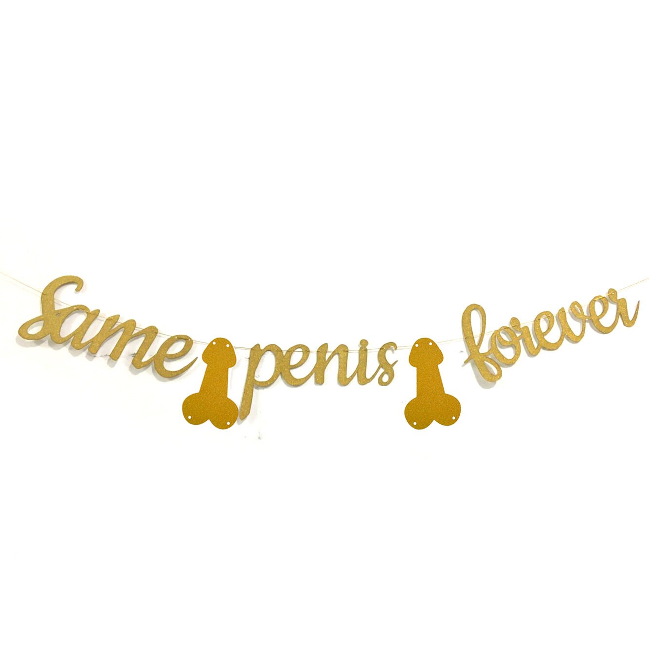 Same Penis Forever Banner, Hens Party Banner Decor, Bachelorette Party Banner, Bachelorette Party Penis Banner, Penis Favors