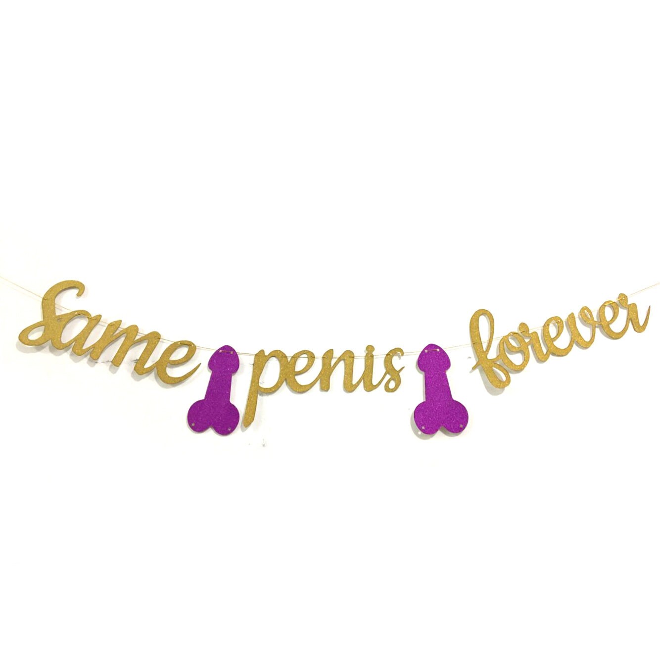 Same Penis Forever Banner, Hens Party Banner Decor, Bachelorette Party Banner, Bachelorette Party Penis Banner, Penis Favors