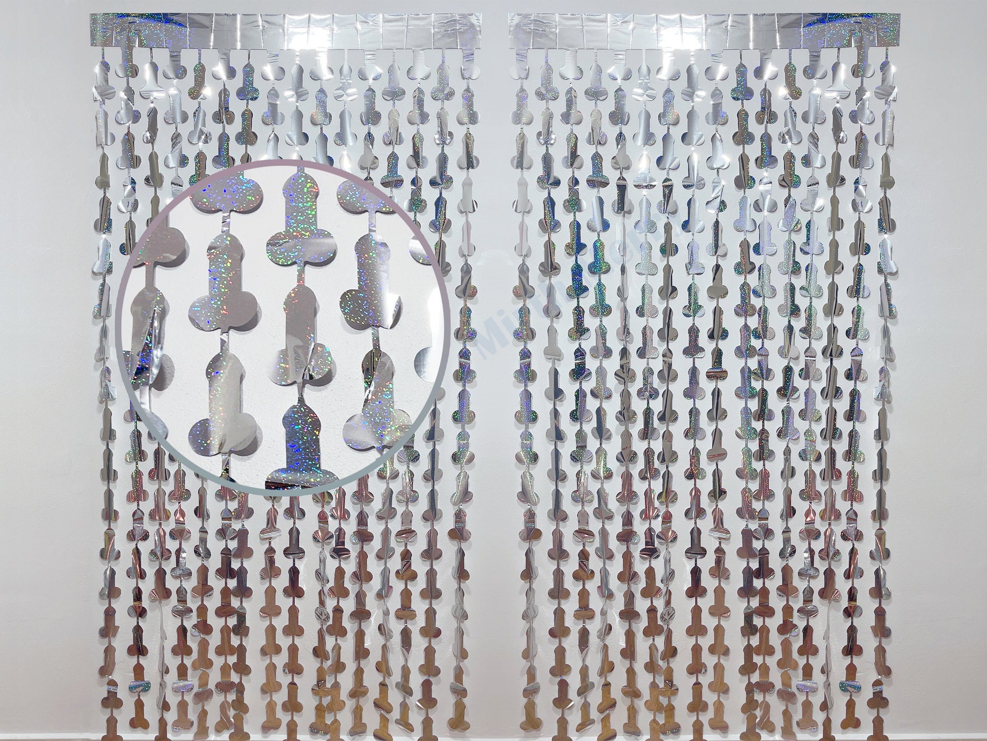 Iridescent Penis Holographic Foil Curtain | Hen Party Bridal Shower Backdrop, Birthday Backdrop, Photo Booth, Dick Favors, Naughty Bach
