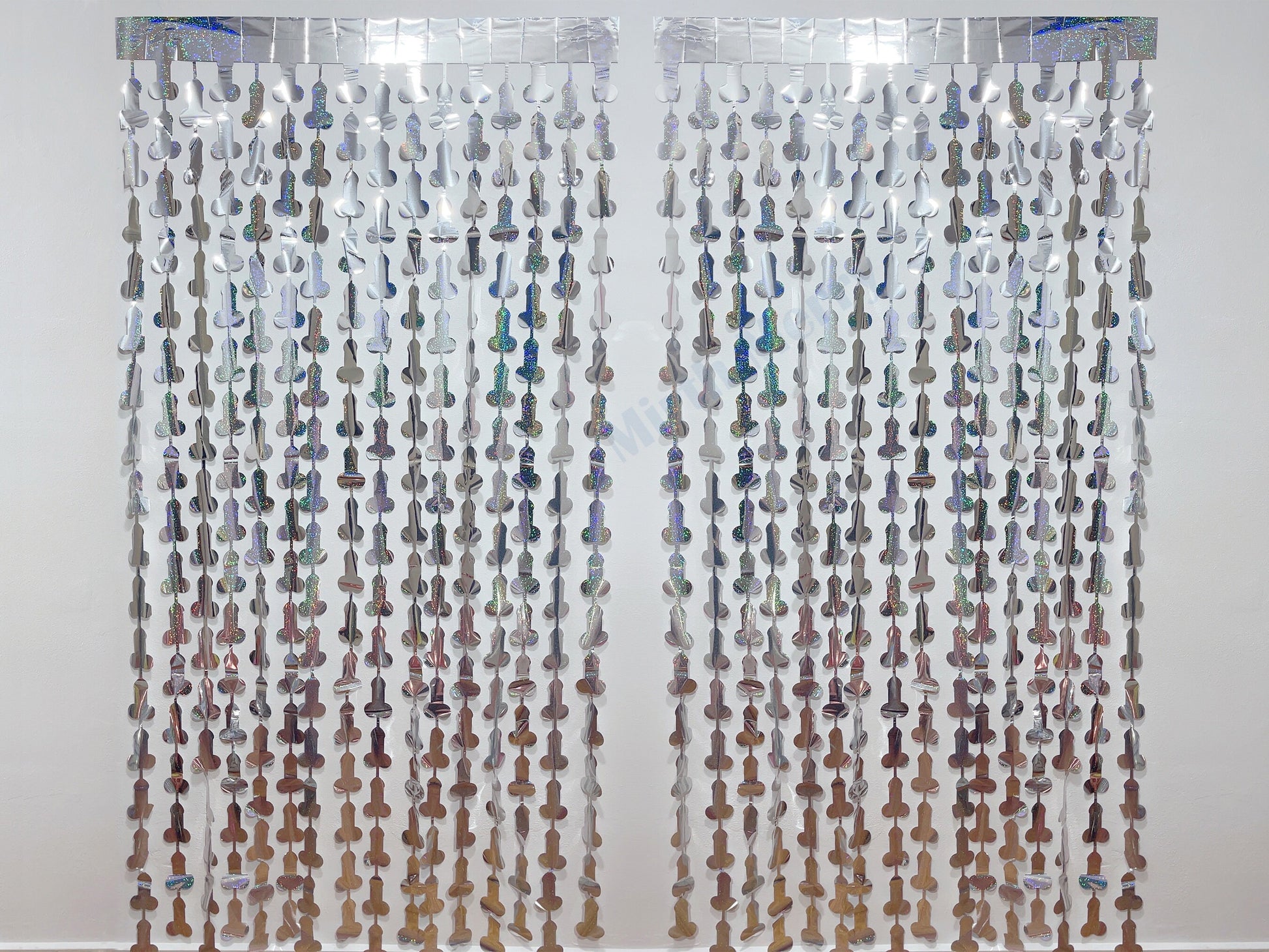 Iridescent Penis Holographic Foil Curtain | Hen Party Bridal Shower Backdrop, Birthday Backdrop, Photo Booth, Dick Favors, Naughty Bach