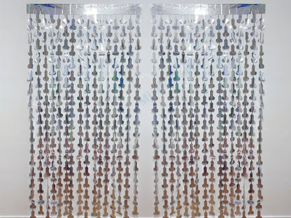 Iridescent Penis Holographic Foil Curtain | Hen Party Bridal Shower Backdrop, Birthday Backdrop, Photo Booth, Dick Favors, Naughty Bach